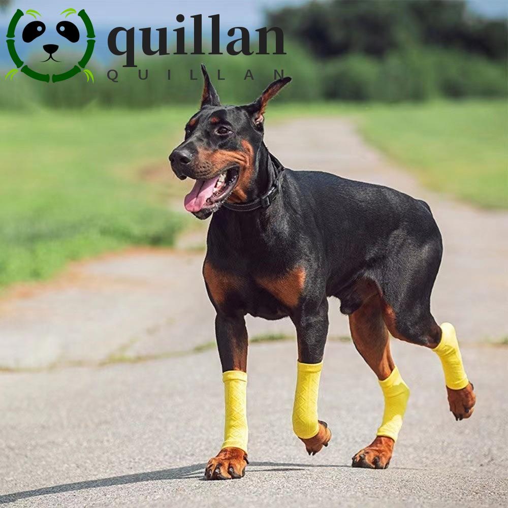 QUILLAN อุปกรณ์ป้องกันข้อศอกสัตว์เลี้ยง, ป้องกันสกปรกสบายขาสุนัข, ลูกสุนัขขาป้องกันยืดหยุ่นอบอุ่นถักขาสุนัขอุ่นบ้าน
