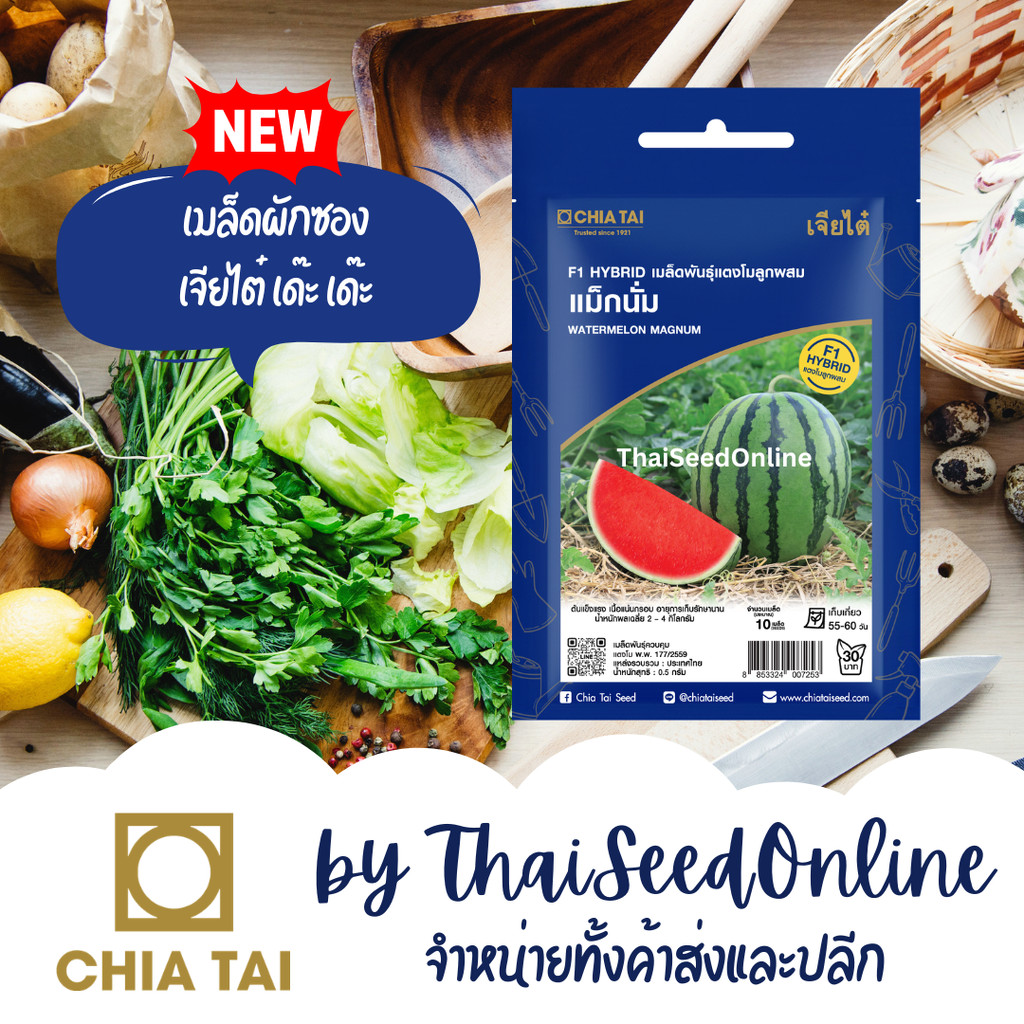 CTSE เมล็ดพันธุ์ แตงโม แม็กนั่ม 0.37 กรัม ตราเจียไต๋ Magnum Watermelon Seeds Seedless Watermelon แตงโมไร้เมล็ด