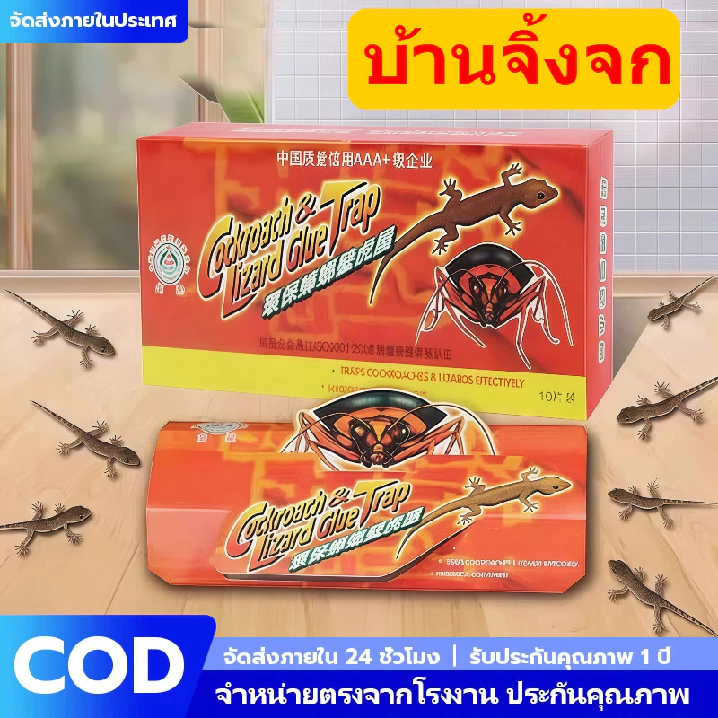 [30 แผ่น] บ้านจิ้งจก กาวดักจิ้งจก & ตุ๊กแก เหนียวพิเศษ หนีไม่ได้! ไร้สารพิษ ปลอดภัย ไร้กลิ่น ใช้งานง่าย ประสิทธิภาพสูง