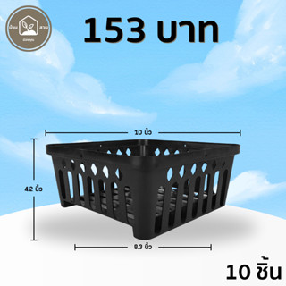 กระถาง กระถางกล้วยไม้ กระถางแขวน สี่เหลี่ยม 10 นิ้ว 10 25 50…