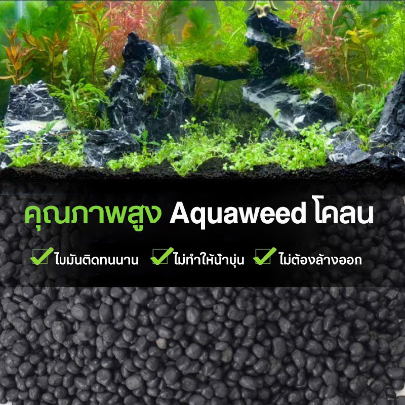 (ส่งด่วนจากกทม.)ดินปลูกไม้น้ำตู้ปลา 2.5KG ดินต้นไม้น้ำ ดินไม่แตก น้ำไม่ขุ่น ปลอดภัยต่อสัตว์น้ำ! - รูปที่ 5