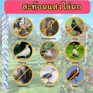 ริบบิ้นสะท้อนแสงไล่นก 50เมตร. เทปไล่นก เทปริบบิ้น เทปริบบิ้นสะท้อนแสง เทปกั้นเขต เทปกั้นนก หุ่นไล่กาท้องนาไร่สวน