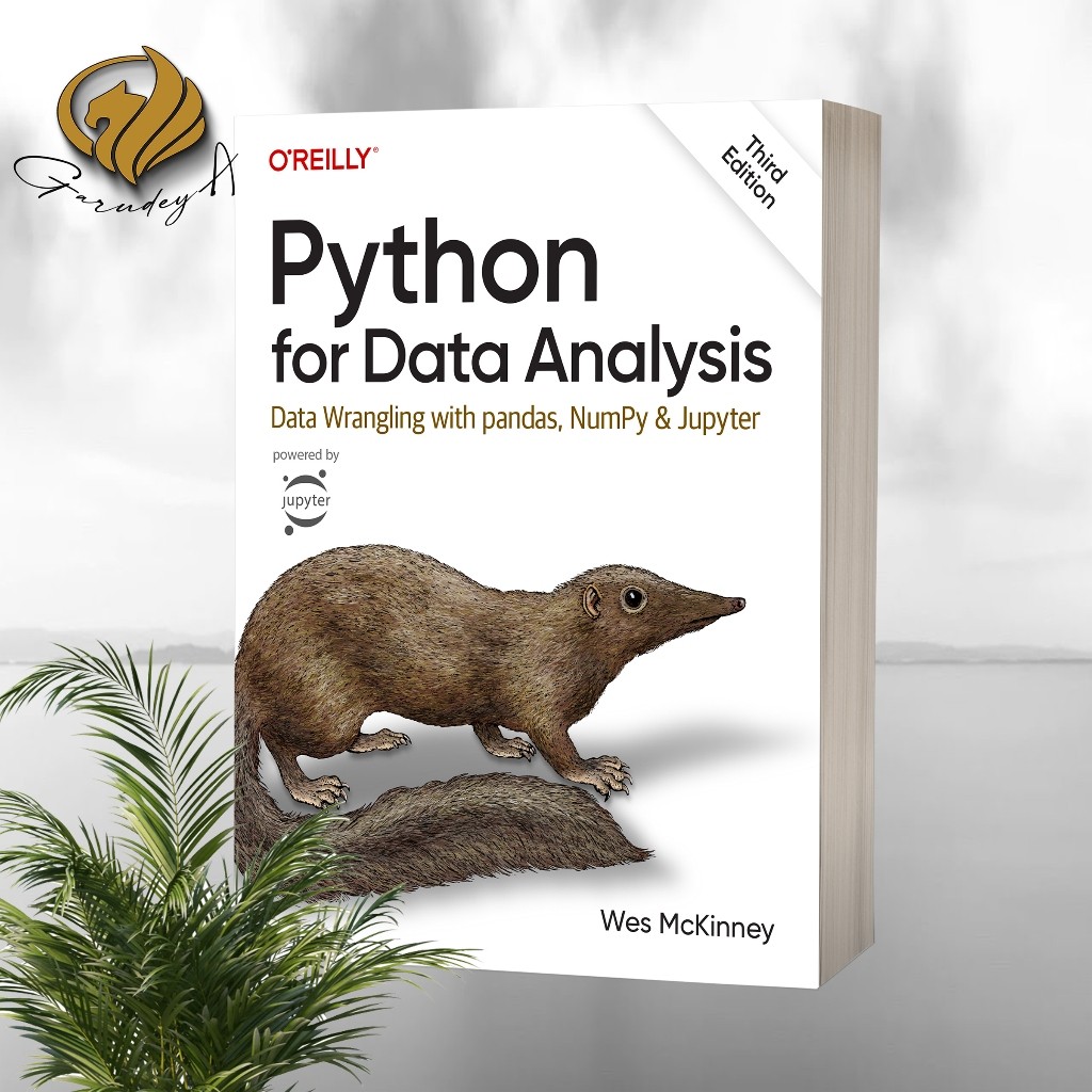 Python for Data Analysis Data Wrongling Data with pandas, NumPy, และ Jupiter