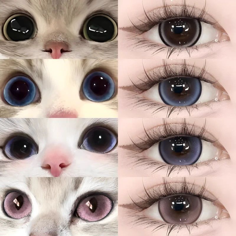 Sweet Desire Blueberry Jewels Half-Year Polishing คอนแทคเลนส์เครื่องสําอาง 14.5 เส้นผ่านศูนย์กลางขนา