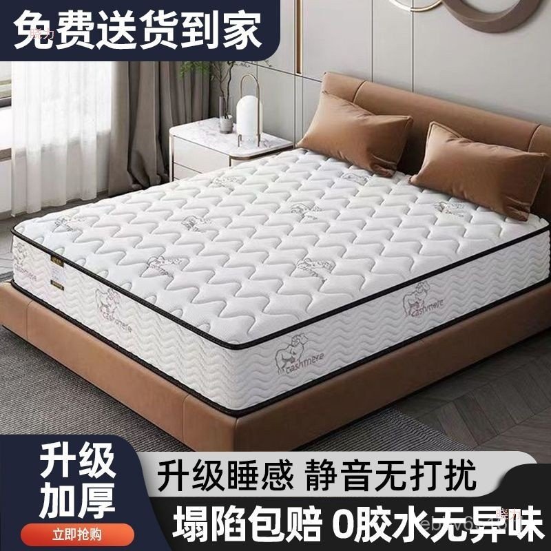 Pad Hilton 1.8x2m Palm Spine Spring Silent Cashmere ที่นอน Latex Simmons Hotel ที่นอนมะพร้าวแบบเดียว