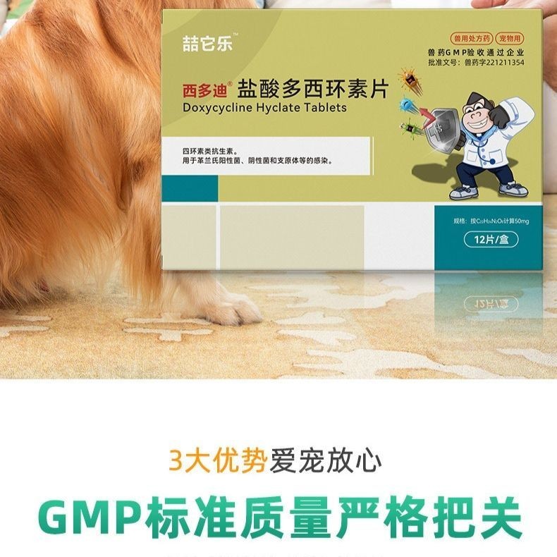 Cup-Shaped Master Cat สัตว์เลี้ยงอาหารเสริมผู้ใหญ่ Fine Cat Nasal Squeeze Squeeze Tear Snot Cough Cu