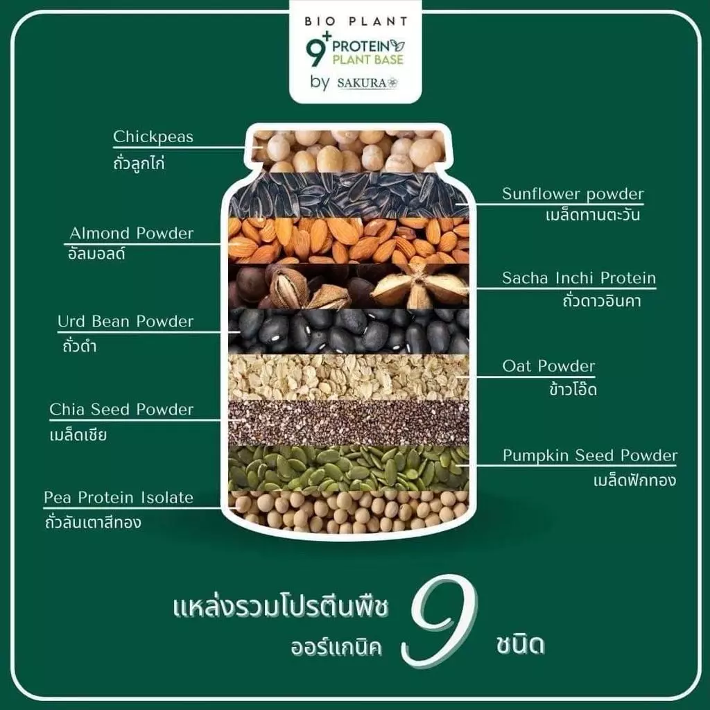 Bio Plant 9+ โปร 4 กล่อง โปรตีนพืชออร์แกนิค 9 ชนิด ดื่มง่าย ไม่สากคอ ไม่ใส่น้ำตาล คุมหิว ของแท้ thumbnail 10