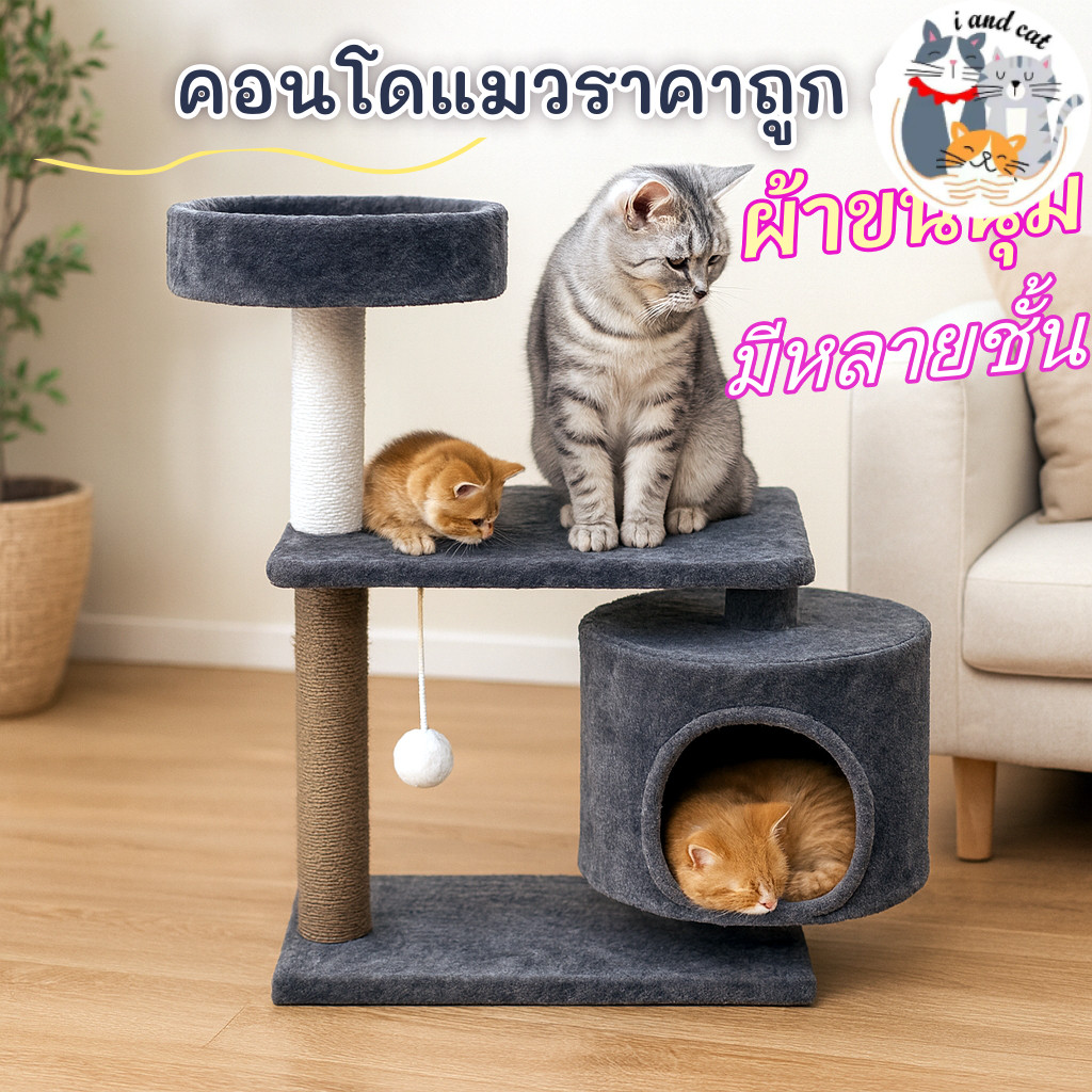 [พร้อมส่ง] คอนโดแมว ผ้ากำมะหยี่ ที่นอนแมว บ้านแมว ที่ฝนเล็บแมว คอนโดแมวราคาถูก ของเล่นแมว