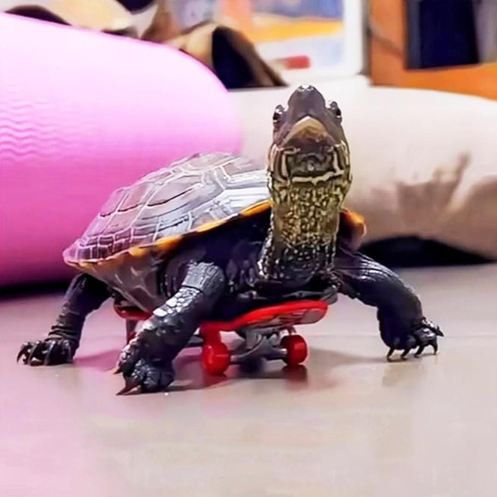 Turtle Skateboard,Mini Skateboard สําหรับเต่าพร้อมแผ่นกันลื่น,สเก็ตบอร์ดเต่า,ของเล่นสําหรับ K0W2