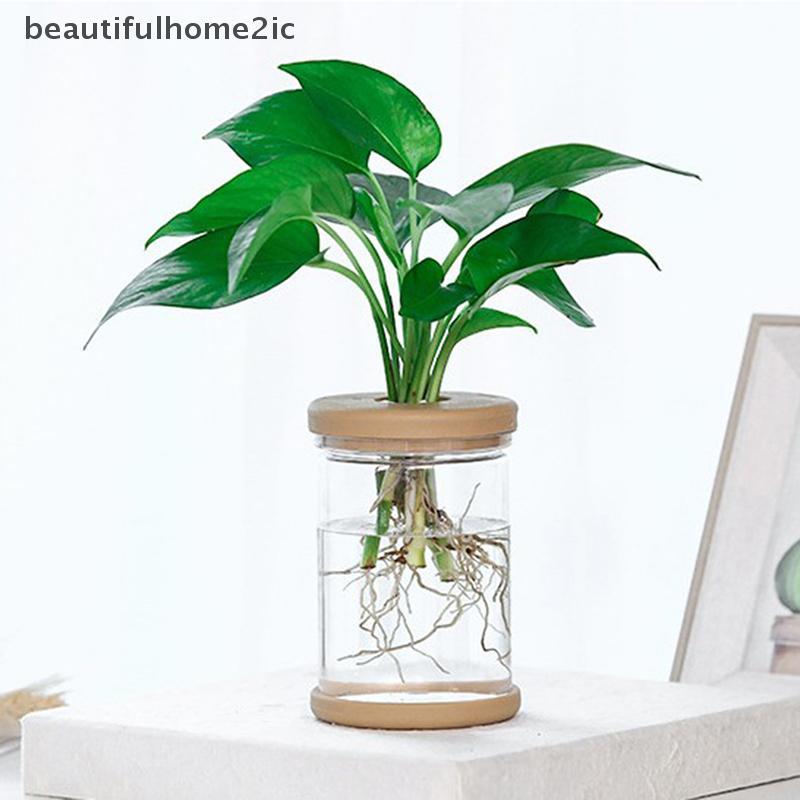 [ใหม่] กระถางดอกไม้โปร่งใส Hydroponic อัตโนมัติดูดซับน้ํากระถางดอกไม้พลาสติก [TH]