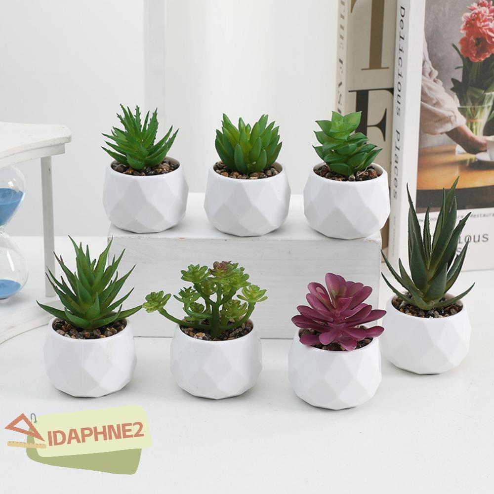 IDAPHNE2 ประดิษฐ์ฉ่ํา, พลาสติกเอเวอร์กรีน Succulents บอนไซ, มินิปลอมพืชกระบองเพชรกระถางต้นไม้ขนาดเล็กบ้าน