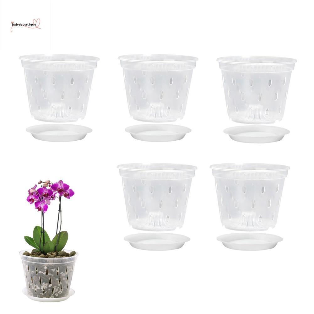 BABYBOUTIQUE Orchid Pot Breathable Excellent ระบายน้ําพลาสติกโปร่งใสมีรูและถาดสําหรับ Phalaenopsis O