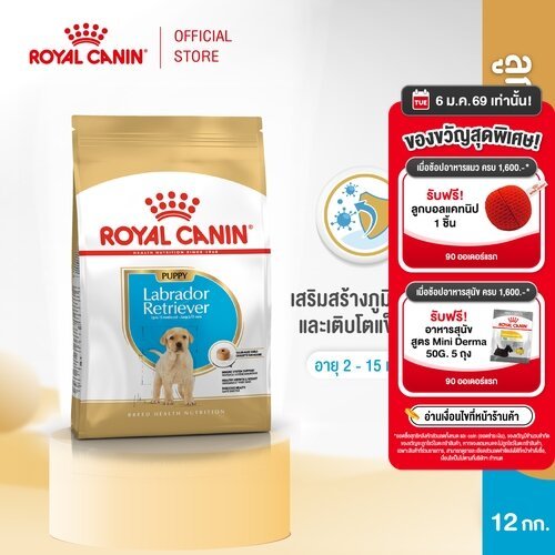 Royal Canin Labrador Retriever Puppy 12kg อาหารเม็ดลูกสุนัข พันธุ์ลาบราดอร์รีทรีฟเวอร์ อายุต่ำกว่า15เดือน(โรยัล คานิน)