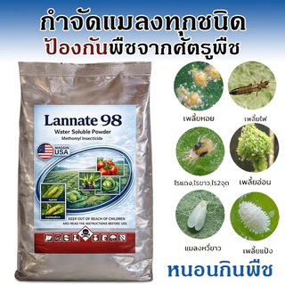 (ถุงใหญ่) แลนเนท 98% แท้ 500 กรัม เมโทมิล ฆ่าแมลง หนอน เพลี้ย เน้นกำจัดแมลง แรนเนด ยาแลนเนท ยาเมลาโทนิน