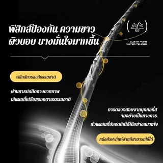 แปรงย้อมผมกันน้ำกันเหงื่อสำหรับทุกคนตลอดทั้งปี ใช้ง่าย ไม่ทำให้หนังศีรษะเปื้อน สกัดจากพืช