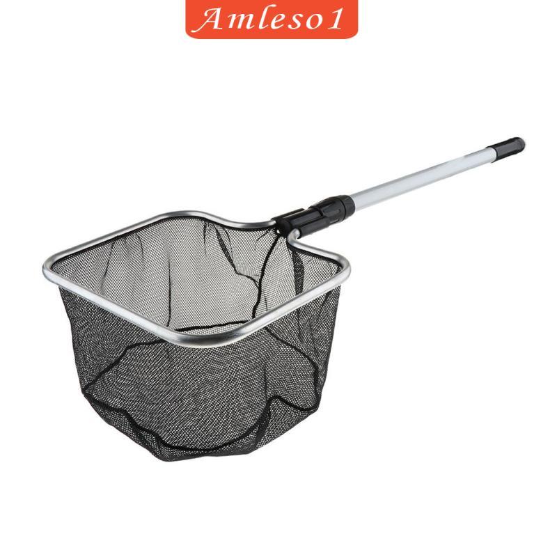 [Amleso1] ตู้ปลาพิพิธภัณฑ์สัตว์น้ําปลา Landing Net Tropical Coldwater Marine Netting