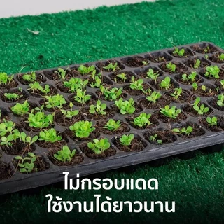 ถาดเพาะกล้า 21/32/50/72/105/128/200 หลุม ถาดเพาะชำ ถาดเพาะเมล็ด ต้นอ่อน เมล็ด ไฮโดร ความหนา 1.0 มิล