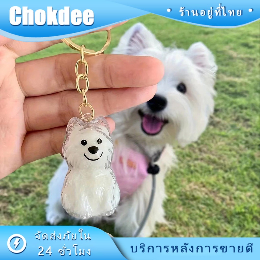 ร้านคนไทย！ จี้กล่องเก็บขนสุนัข จี้พวงกุญแจเก็บขนสัตว์ วัสดุพลาสติกแบบใส ของที่ระลึก เครื่องประดับห้อยกระเป๋า