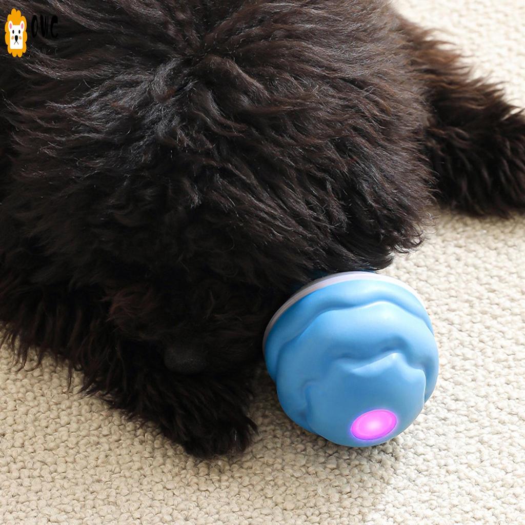 Power Tail Interactive Dog Ball ทําความสะอาดง่าย Self Moving Healthy Balls ของเล่น
 เหมาะสําหรับความ