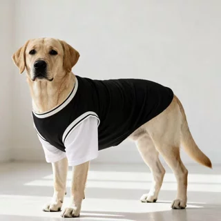 🇹🇭พร้อมส่ง🇹🇭 🐕🦮🐕 BIGSIZE เสื้อ หมาใหญ่ หมาอ้วน ลายแฟชั่น ผ้าใส่สบาย FOR สัตว์เลี้ยง สุนัขพันธุ์ใหญ่