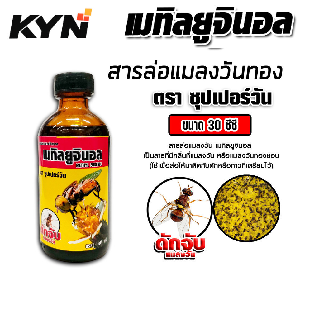 สารล่อแมลงวันทอง เมทิลยูจินอล ซุปเปอร์วัน ขนาด 30cc น้ำหอมล่อแมลงวันทอง ของแท้ ใช้งานสะดวก สำหรับสวน