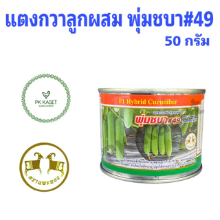 เมล็ดแตงกวา พุ่มชบา #49 50g ตราแพะทอง แตงกวาลูกผสม F1 HYBRID CUCUMBER