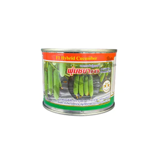 เมล็ดแตงกวา พุ่มชบา #49 50g ตราแพะทอง แตงกวาลูกผสม F1 HYBRID CUCUMBER