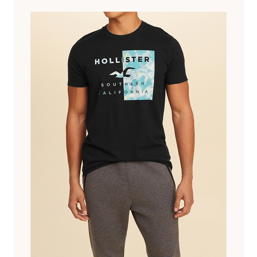 Hollister ผู้ชาย Seagull Print T-Shirt ผ้าฝ้าย 100% สไตล์แฟชันสำหรับสวมใส่อย่างสบายๆ