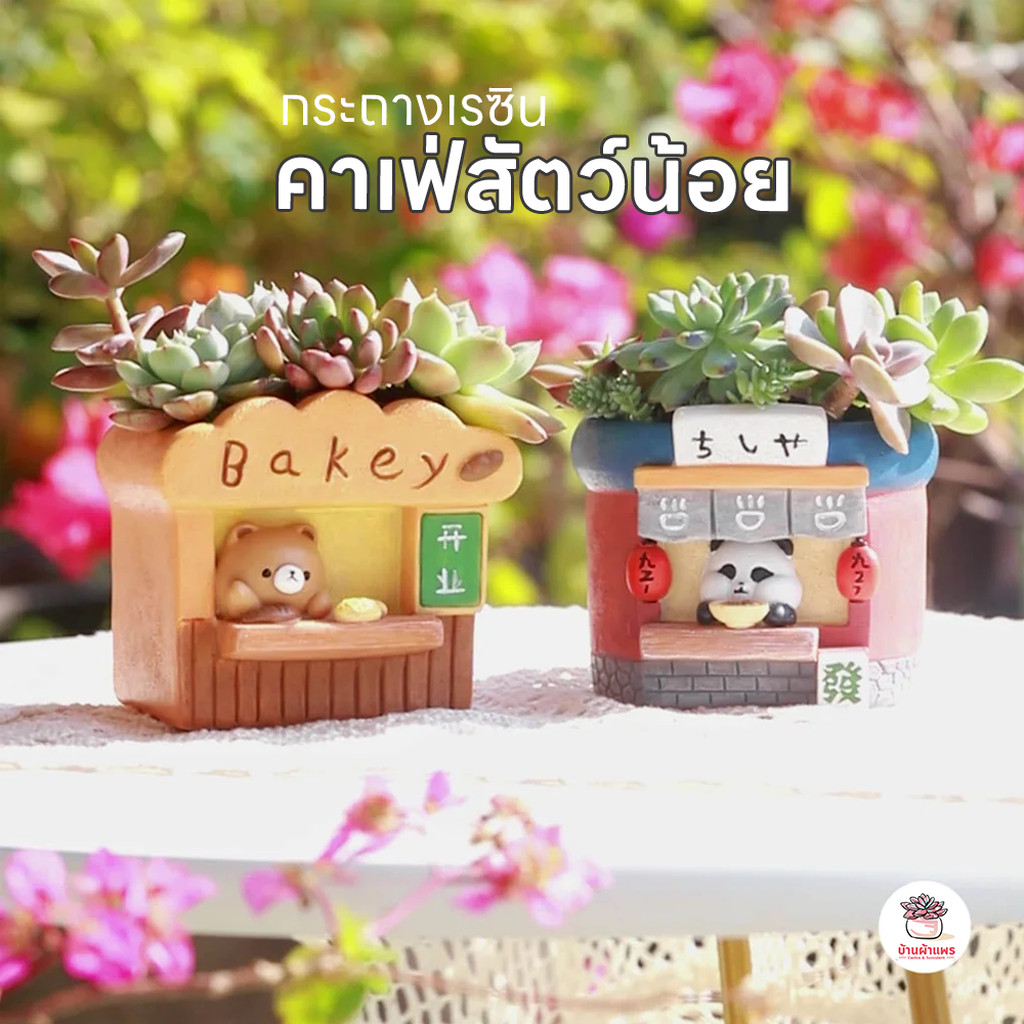 กระถางเรซิน คาเฟ่สัตว์น้อย กระถางต้นไม้ แคคตัส กระบองเพชร ไม้อวบน้ำ Cactus&Succulent