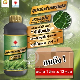 (ยกลัง1L*12) สารจับใบ ซุปเปอร์เซอร์เฟส สารจับใบเข้มข้นพิเศษ ช่วยยึดเกาะใบ ยกลัง 12 ขวด #ดวงตะวันเพชร