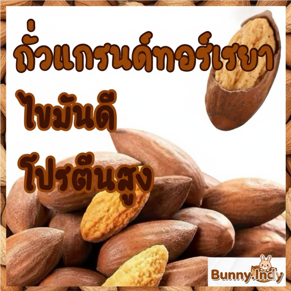 Bunny.indy ถั่วแกรนด์ทอร์เรยา 🥜 ขนาด 10 เม็ด สำหรับสัตว์ฟันแทะสุดที่รัก 🐿️ ของว่างแสนอร่อยที่น้องๆ หลงรัก ❤️