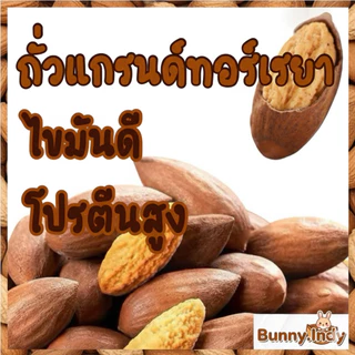 Bunny.indy ถั่วแกรนด์ทอร์เรยา 🥜 ขนาด 10 เม็ด สำหรับสัตว์ฟันแทะสุดที่รัก 🐿️ ของว่างแสนอร่อยที่น้องๆ หลงรัก ❤️