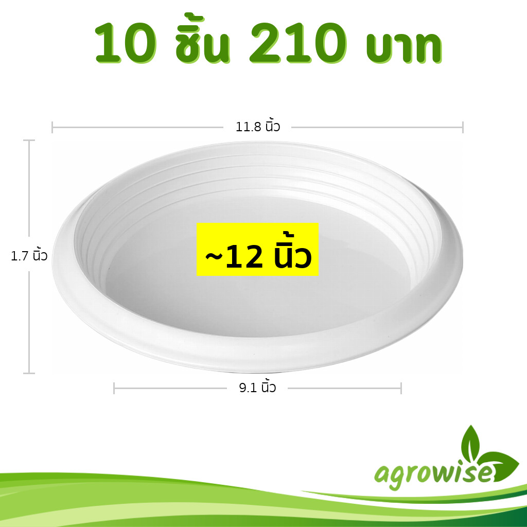 กระถาง กระถางต้นไม้ กระถางขาว เบอร์ 12 นิ้ว สีขาว 10 ใบ ชิ้น ยกมัด - รูปที่ 3