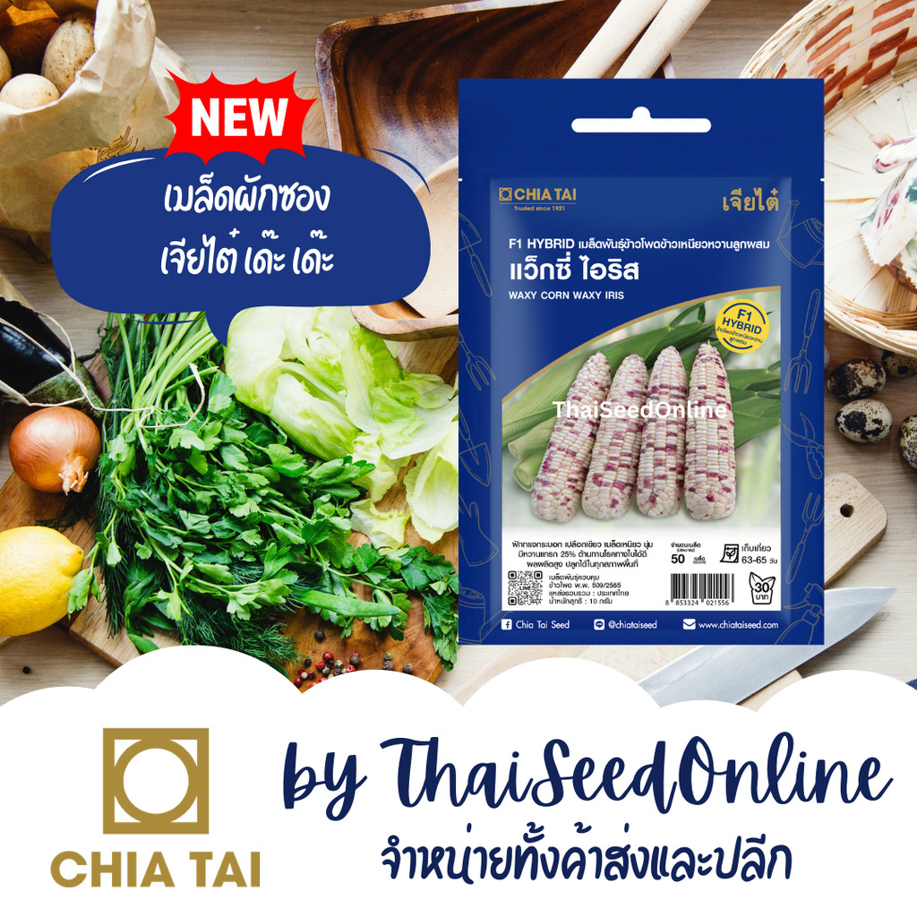 CTSE เมล็ดผักซองเจียไต๋ ข้าวโพด ข้าวเหนียว แว็กซี่ ไอริส 10กรัม ตราเจียไต๋ Waxy Iris Corn Seeds