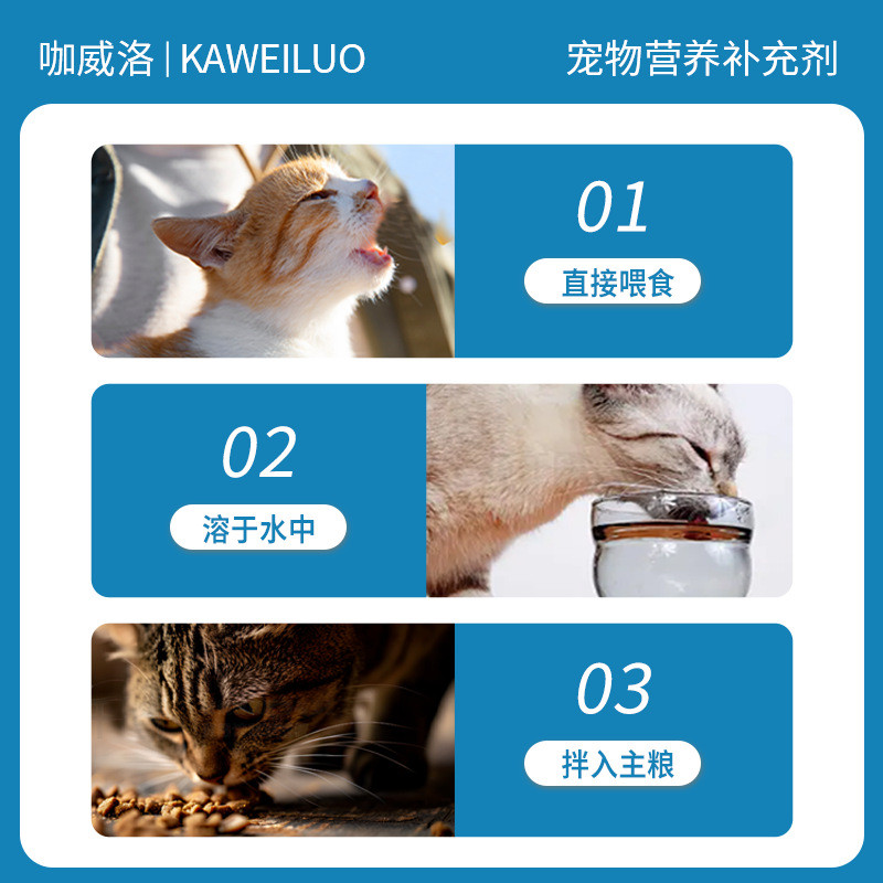 พร้อมสต็อก จัดส่งที่รวดเร็ว สัตว์เลี้ยงสุนัขโปรโมชั่นย่อยอาหารโปรไบโอติก OEM แมวแมวกรดแลคติกแบคทีเรี