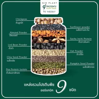 Bio Plant 9+ โปรตีนพืชออร์แกนิค ดื่มง่าย ไม่สากคอ คุมหิว อิ่มนาน กรดอะมิโนจำเป็น