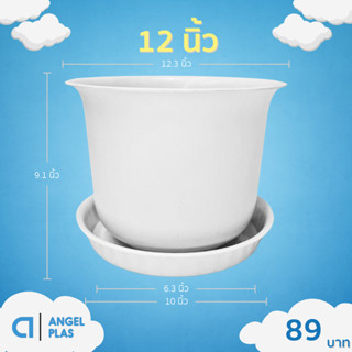 กระถางต้นไม้ กระถางมินิมอล กระถางถ้วยจีน 6 8 10 12 15 นิ้ว