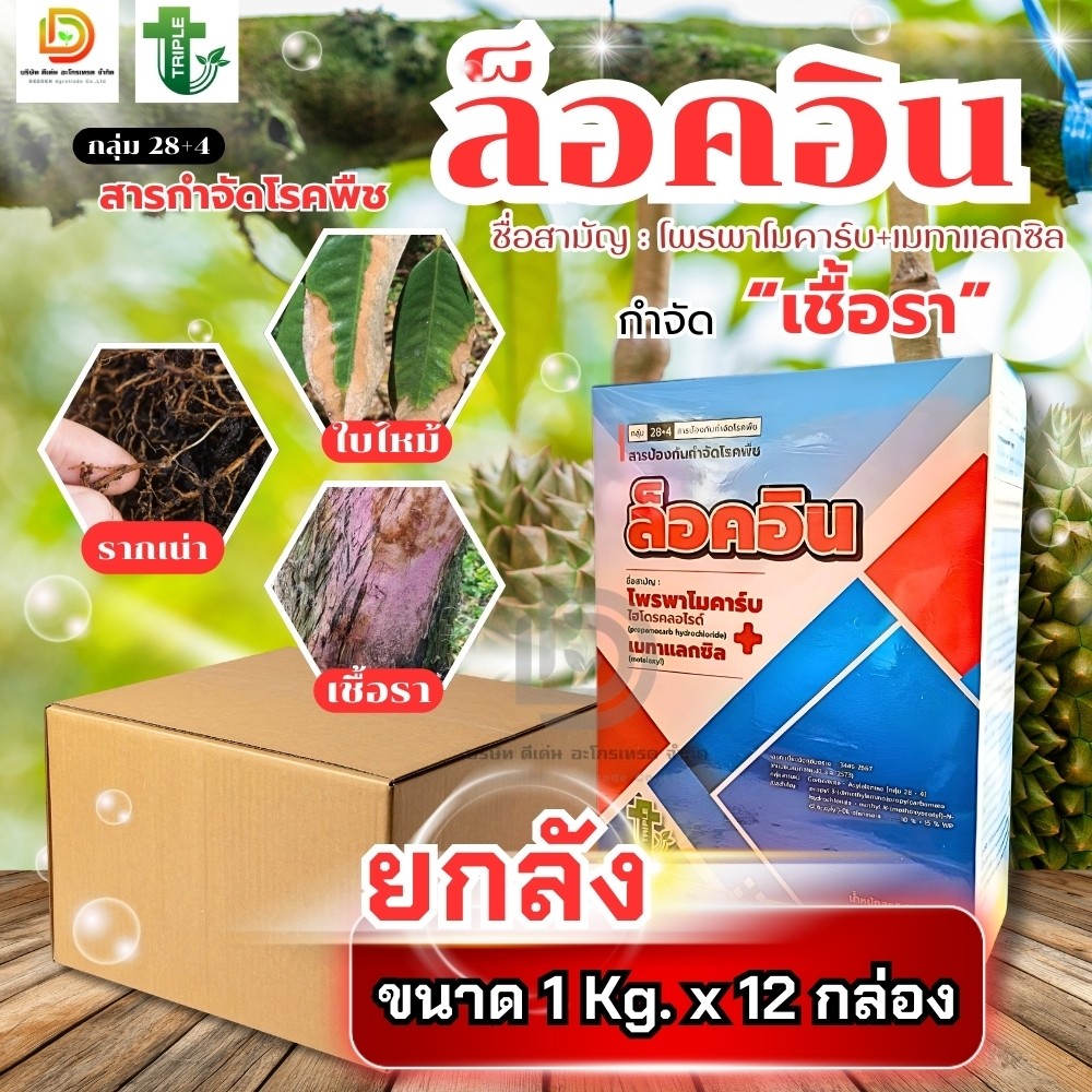 (ยกลัง1kg*18) ล็อคอิน #โพรพาโมคาร์บ+เมทาแลกซิล กำจัดเชื้อรา โรคเน่าคอดิน รากเน่าโคนเน่า โรคใบไหม้ทุเรียน