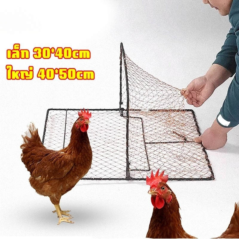 กับดักนกและไก่ กับดักไก่แบบตาข่าย กรอบสแตนเลส ที่ดักนก ที่ดักไก่