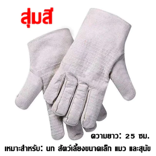 ถุงมือผ้ากันกัด ถุงมือกันข่วน ถุงมือสัตว์ ถุงมือผ้ากันกัด สำหรับการจับสุนัข แมว ชูการ์ กระรอก แฮมสเตอร์
