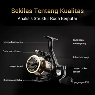 SHIMANO รอกสปินนิ่ง รอกตกปลา อัตราทดเกียร์ 5.2:1 แรงลากสูง 50kg ใช้งานง่ายน้ำหนักเบา แข็งแรง