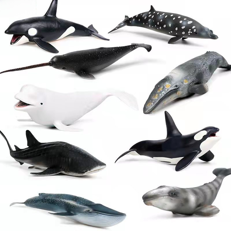 ของเล่นสัตว์สําหรับเด็ก Whale Ocean Model Blue Whale หลังค่อม Whale Sperm Whale Killer Whale White W
