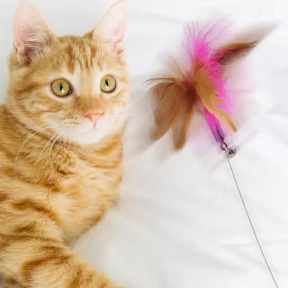 ปลอกคอแมว Teaser Wand ของเล่นแมวคอสวม Teaser Cat Wand พร้อม Feathers Bell Interactive Cat P5L0