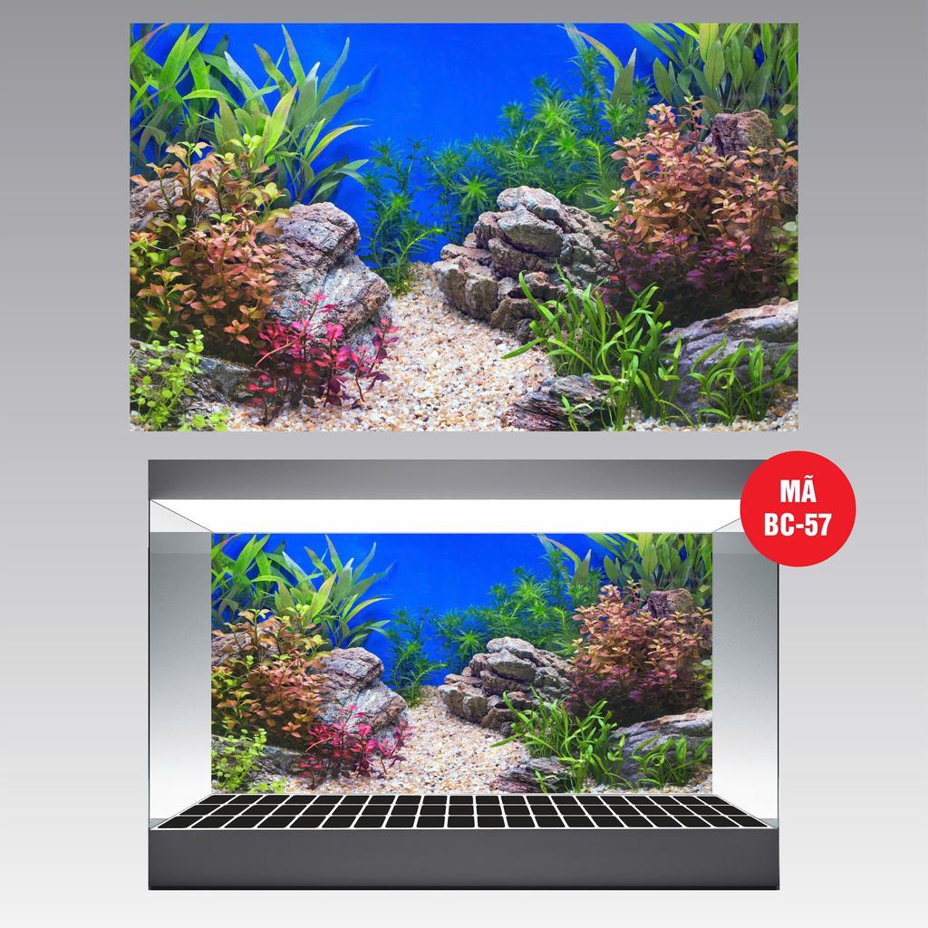 (BC57) 3D FISH POOL PAINTING (BACK PAINTING) _VIP DECAL_MT 57