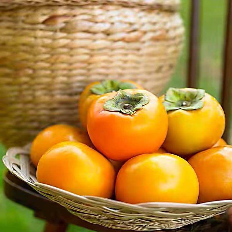 111 พลับสด (1kg)หวานพลับจากต้น ไม่บ่ม สด อร่อย Good