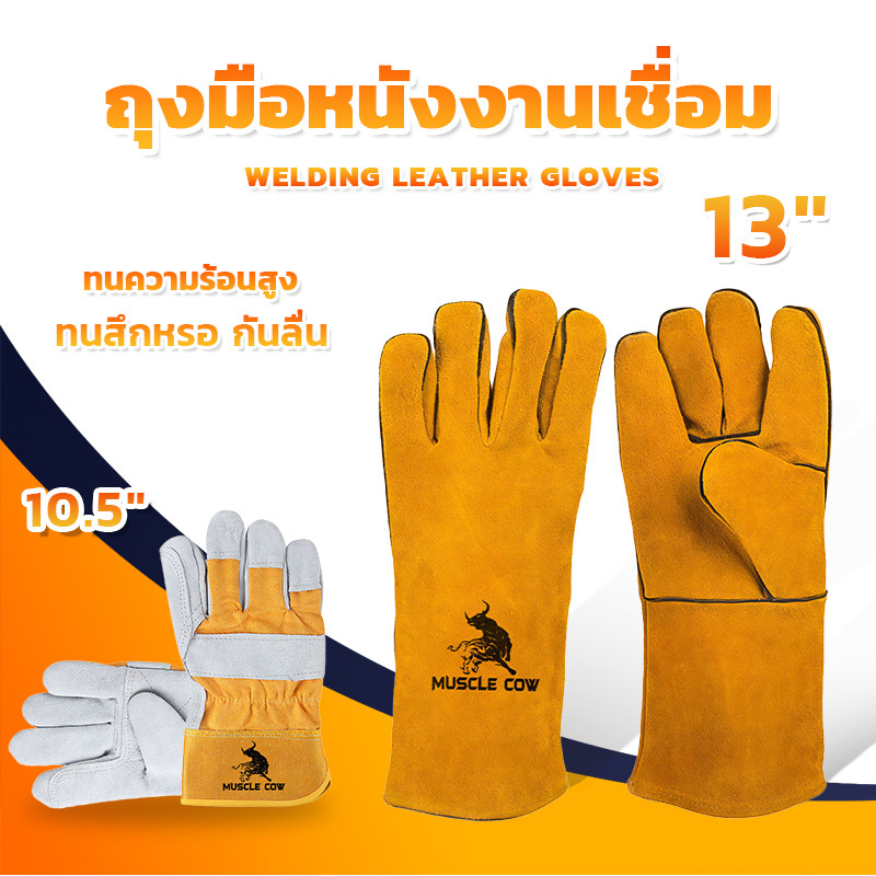 MUSCLE COW ถุงมือหนังงานเชื่อม 10.5" และ13" ทำจากหนังวัวชั้นที่ 2 ทั้งชิ้น เบาและสามารถระบายอากาศได้ดี ถุงมือเชื่อม