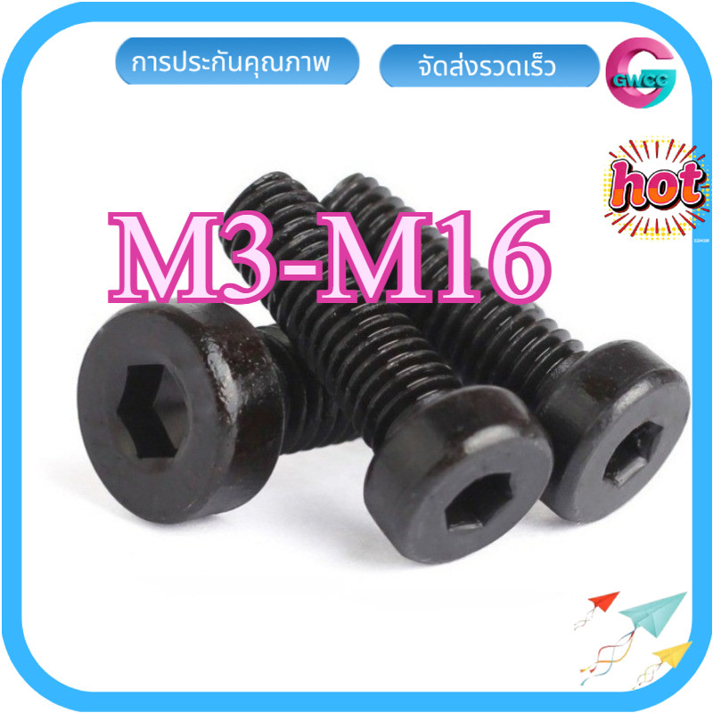 น็อตหัวจมบาง สแตนเลส 304 เกลียวมิล ตลอด สกรู hexagon socket head cap screws low head 12.9 DIN7984   