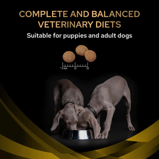 (ถุง) Proplan Veterinary Diets Neurocare NC อาหารสำหรับสุนัขโปรแพลนประกอบการรักษาภาวะสมองเสื่อม ขนาด 2.5kg/7kg