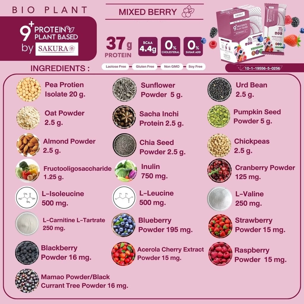 Bio Plant 9+ โปร 4 กล่อง โปรตีนพืชออร์แกนิค 9 ชนิด ดื่มง่าย ไม่สากคอ ไม่ใส่น้ำตาล คุมหิว ของแท้ thumbnail 4