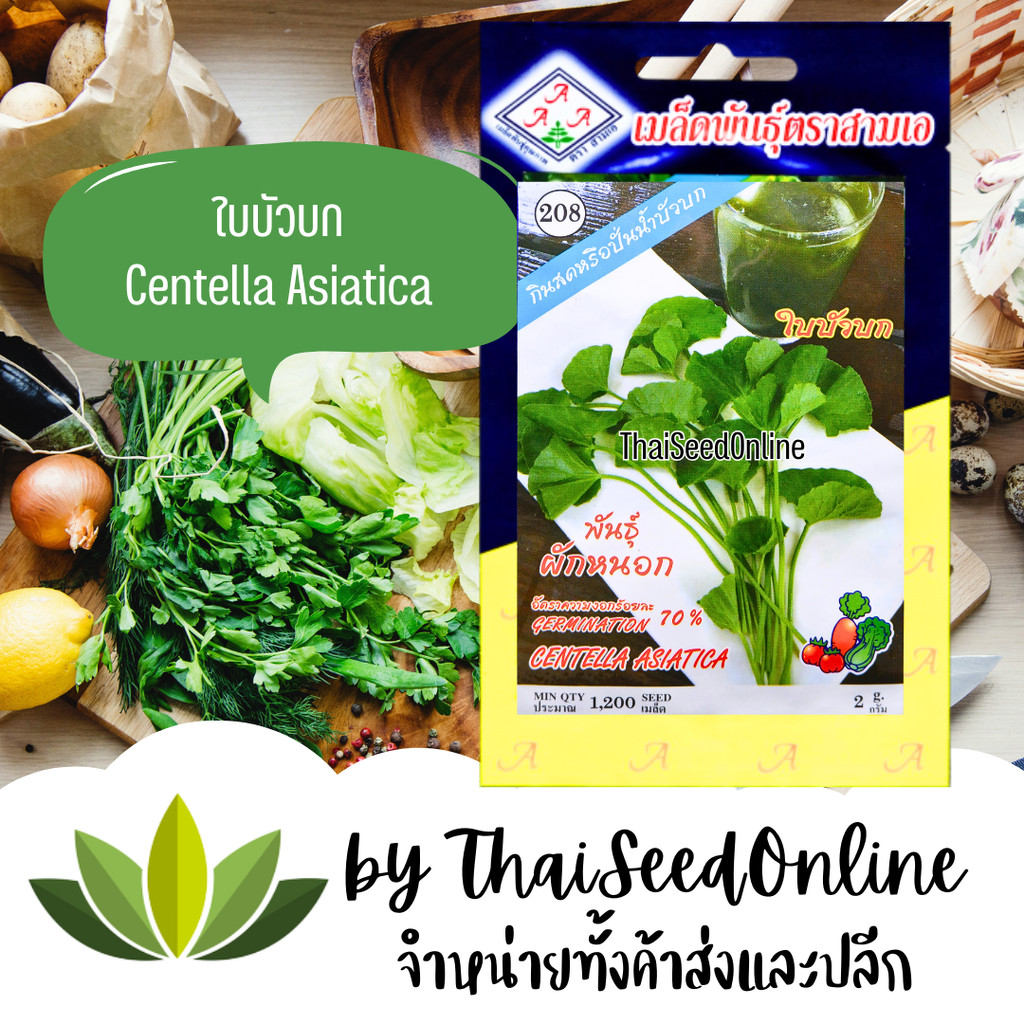 333(ตองสาม) เมล็ดพันธุ์ ใบบัวบก ผักหนอก ตราตองสาม（333）สามเอ (AAA）